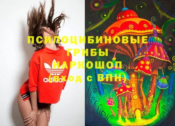 стаф Пролетарск
